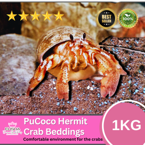 PuCoco Hermit Crab Beddings 1kg per PACK Absorbent holds humidity well and provides a Natural Environment for the Crabs | ELISHA