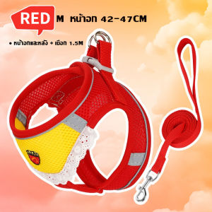 【Ewyn】NEW สายจูงสัตว์เลี้ยง สายรัดแมว สายรัดสุนัข ยืดหยุ่น มีแถบสะท้อนแสง ป้องกันการรัดคอ