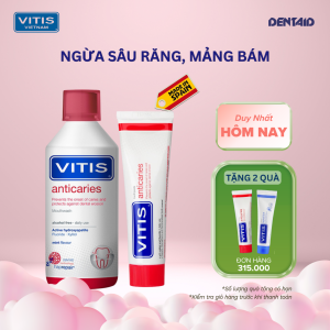 Combo Nước Súc Miệng Kem Đánh Răng VITIS Anticaries Ngừa Sâu Răng Mảng Bám 500ml/100ml