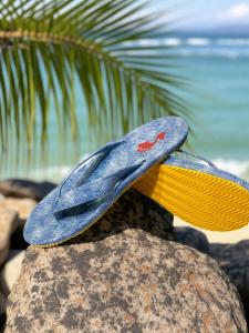 sandal jepit terlaris 2025 Rooted Sole Pria Wanita Casual Trendy Anti Slip Premium