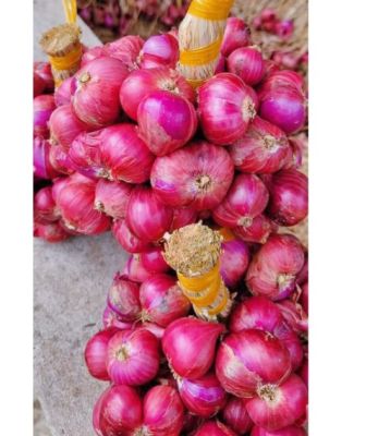 (HCM - RẺ QUÁ NÈ) #1KG Hành tím Vĩnh Châu sóc trăng Tuyển chọn từng củ không hư củ nào ,được bà con nông dân trồng và thu hoạch tại tỉnh sóc trăng