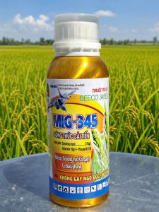 Thuốc trừ cỏ hậu nảy mầm MIG 345 Beeco 345 240ml: đặc trị cỏ lồng vực cỏ gạo cỏ đuôi phụng KHÔNG ĐỎ LÚA
