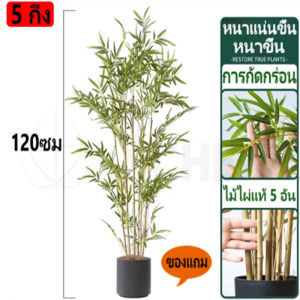 🔥สีไม่จางลง50ปี🔥 ต้นไม้ปลอม ต้นไม้ปลอมใหญ่ ต้นไผ่ปลอม 100/120/150/180cm ฟรีกระถางดอก ต้นไม้แต่งบ้าน+การตกแต่งร้านกาแฟ สไตล์นอร์ดิก ในบ้าน ต้นไม้มงคล ต้นไม้ประดิษฐ์ ต้นไม้ตกแต่งบ้าน ต้นไม้ปลอมสวยๆ ต้นไม้แต่งห้อง ต้นไม้มงคลสวยๆ ต้นไม้มงคลปลอม