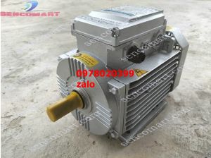 Động cơ motor 22kw điện 1 pha