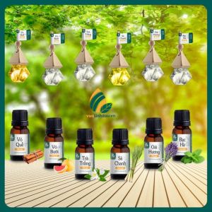 Tinh Dầu Thiên Nhiên VUATINHDAU Chai 10ml | Nhiều Hương Thơm Chọn Lựa | Tinh Dầu Nguyên Chất Hoàn Toàn