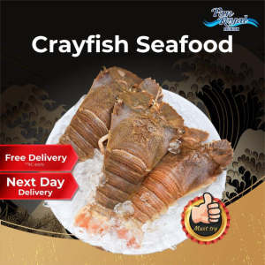 [PAN ROYAL] Frozen Crayfish 80/100g (11-14pc) HALF