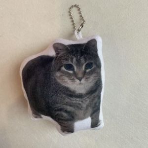 Mèo Ngộ nghĩnh Oiiaioooooiii Ay Mi Gatito Miau Miau có âm thanh sang trọng Móc khóa biểu tượng cảm xúc dễ thương Mèo Diy Dán