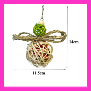 🇸🇬 Bird Chewing Toy and Cage Bite Toys Parrot Grinding Beak