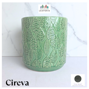 The Leaferie Cireva plant pots. Ceramic flowerpot . flowerpots . flower pot . planter
