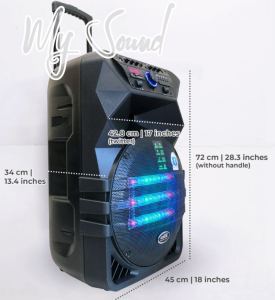 Skywalker-15 750Watts Portable Mobile Trolley Bluetooth Speaker by DB Audio (15 inch woofer)