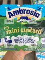 Váng Sữa Ambrosia. 