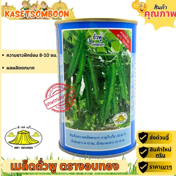 เมล็ดถั่วพู ตรางอบทอง ขนาด 100 กรัม