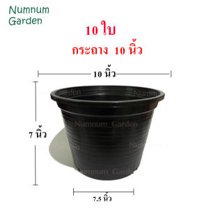 10 ใบ กระถางดำ 10 นิ้ว กระถางต้นไม้พลาสติก กระถางกระบองเพชร กระถางแคคตัส