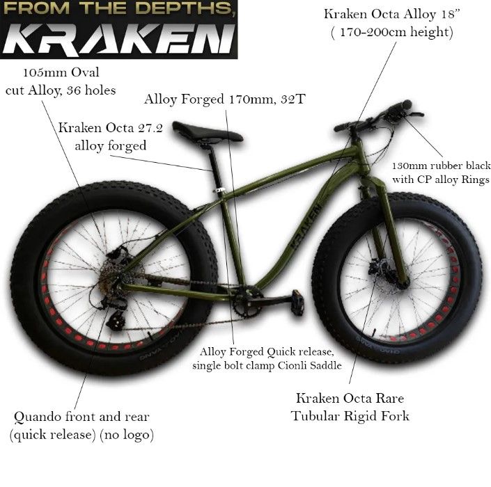 Fat cheap bike sizing