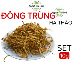 Đông Trùng Hạ Thảo Tự Nhiên Vàng Đẹp Thượng Hạng Set 10g