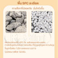 RELAM กระเบื้องยาง SPC คลิ๊กล็อค 5 แผ่น/กล่อง กระเบื้องยางลายไม้ กระเบื้องยางปูพื้น 122X18.3cm ปูได้ 1.1 ตรม. ความหนา 4mm พื้นไม้. 