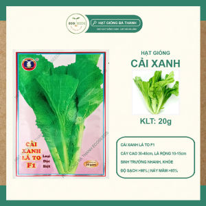 [EcoSeeds] Combo 2 Gói Hạt Giống Cải Xanh Lá To (Cải Bẹ Xanh) - Cây Cao Lá Rộng Chịu Nhiệt - Gói 20g