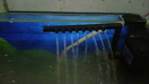 Pompa Air untuk Akuarium Kecil: Memilih & Menggunakan Filter Yamano SP 1000L