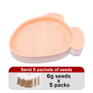 Pet New Land Organic Cat Grass suit contain 5 pack seeds and cat grass planting box