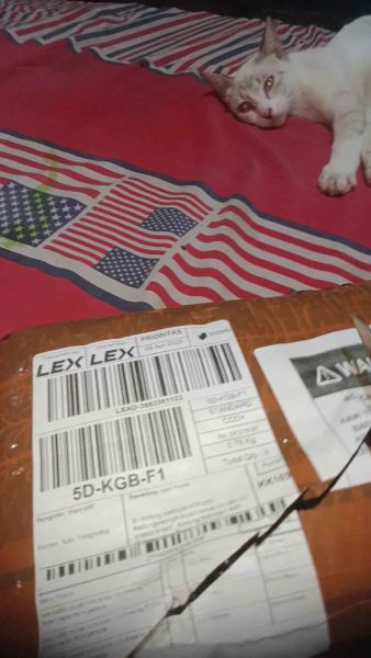 Buyer review video 2