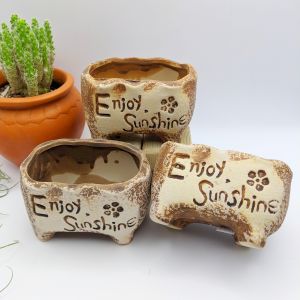 Chậu gốm sứ mini trồng cây nhiều kiểu dáng kích thước 5-8cm