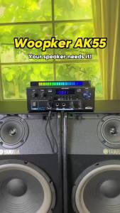 Woopker Professional Audio Amplifier AK55 HiFi Bluetooth 5.1 Max Power 900W Supports Bass Surround and FM Suitable for Home Car