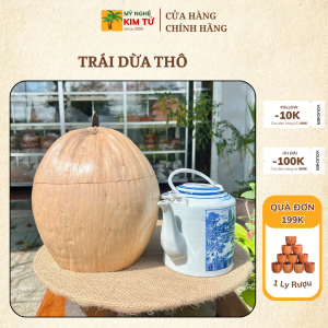 [TẶNG KÈM ẤM] Bình Ủ Ấm Trà Trái Dừa Giữ Nhiệt Cao Cấp Màu Thô Nguyên Thủy Trang Trí Bàn Trà Quà Tặng Sang Trọng 800ml