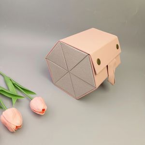 !SG Seller! Spectacle Storage Box | Can put Glasses Jewellery Charging Cable | Trendy Easy to Carry Light Weight Button Lock Inner Strap