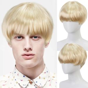 European and American cross-border mens wigs three-color short hair Bobo head mushroom head wig natural fluffy and versatile spot