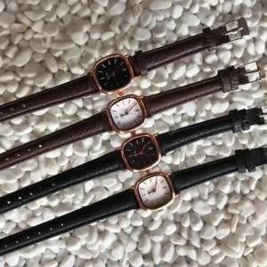 Women Watches Simple Dial Watch Small Square Wristwatch Quartz Watches for Women Leather Student Clock Black Ladies Fashion Gift Dropship