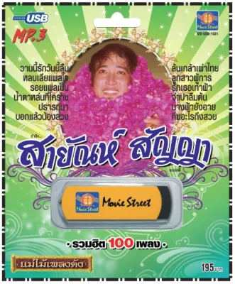เพลงลูกทุ่ง USB- MP.3 ชุดสายัณห์ สัญญา ล้นเกล้าเผ่าไทย # เพลงลูกทุ่งไทย ภาษาไทย เสียงดี เสียงไพเราะ