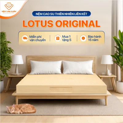 [MUA 1 TẶNG 7] Nệm Cao Su Thiên Nhiên Liên Kết Vạn Xuân Lotus Original Độ Đàn Hồi Cao Nâng Đỡ Tối Ưu Lưng Cột Sống