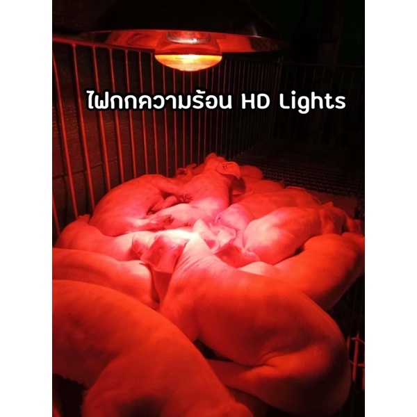หลอด LED หลอดไฟอินฟาเรด หลอดไฟกกลูกไก่ กกลูกหมู กกสัตว์ กกนก 100W/150W/175W/200/250W ให้ความอบอุ่นสัตว์เล็ก
