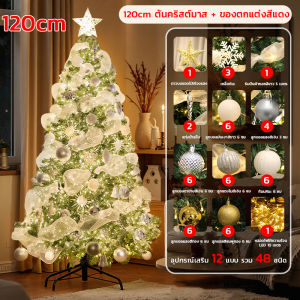 🎄แถมของตกแต่ง🎁ต้นคริสต์มาส ต้นไม้ปลอม ต้นไม้ประดับ ตกแต่งปีใหม ตกแต่งคริสต์มาส 60/120/150/180/210CM Christmas Tree คุณภาพสูงสุดPVC