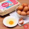 RedMart Fresh Local Eggs (Large) 15X60G. 