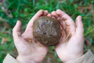EM4 Mud Balls Bebola Lumpur (4 balls per packet) Wastewater Treatment Sludge Treatment Lake Earth Pond Mudball
