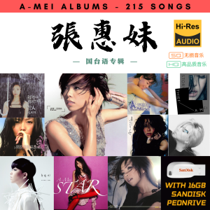 [215首] Pendrive Music 音乐USB 张惠妹国语专辑 mp3 超高音质 16gb 流畅播放 A-Mei Songs 车载音乐
