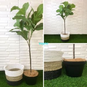Pohon Artificial Tanaman Plastik Ketapang T120 X3 Latex Cover Pot Seagrass Handle Dekorasi Ruang Kantor Aesthetic