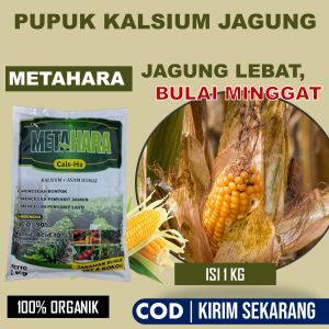 METAHARA 1 KG - Obat bulai jagung terbaik - Cara mengatasi bulai jagung - obat alami bulai jagung - Pengendali Bulai tanaman jagung - obat bulai jagung paling efektif  - pengobatan penyakit bulai jagung