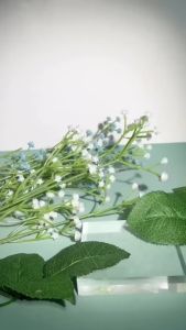 Green Plum Refreshing Cleanser (100ml)