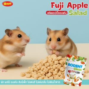 ขนมสุดฟิน! แอปเปิ้ลเต๋าอบแห้ง Honeyเพื่อแฮมสเตอร์สุดที่รักพร้อมส่งหวานธรรมชาติไม่มีน้ำตาลไม่แต่งกลิ่น