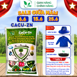 Phân bón CACU ZN Thụy Sỹ Ngăn Ngừa Vàng Lá Thối Rễ Ngủ Ngày Hạn Chế Đốm Lá Ghẻ Trái Tóp Đọt - Túi 800g