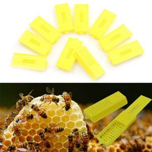 Beekeeping Queen Cage Kurungan Ratu Lebah Bahan Kayu Untuk lebah Apis Mellifera dan Apis Cerana