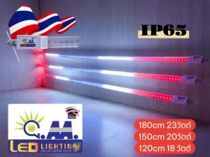 หลอดไฟสีธงชาติไทย กันน้ำ IP65 หลอดใส / หลอดสีนม ยาว 120 150 180 ซม    แบบใช้ไฟบ้าน AC220V   รับประกัน 1 ปี ผลิตในประเทศไทย