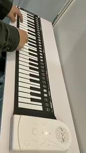 LZD 49 Key Hand Roll Piano Funny Inligence Early Education Children Beginner Practice Piano Silicone Portable Folding Electronic Keyboard