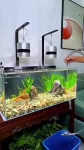 Aquarium Siphon Water Changer Cleaner Siphon pump For Fish Tank Water Change Fish Tank Cleaner