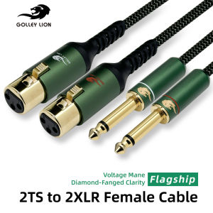 GOLLEY LION Dual XLR Female to Dual TS Audio Cable – Silver-Plated Copper Studio-Grade Balanced Audio Line for Amp Mixer