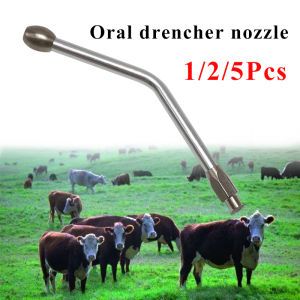 1/2/5Pcs Stainless steel Oral drencher nozzle Drench nozzle Drench Drench tube for goat piglets cattle parrot Feeder accessories