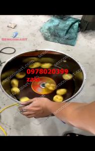 Máy caọ vỏ sấu gọt vỏ khoai sọ