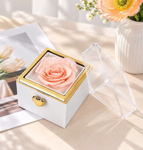 Hộp Hoa Bất Ngờ Đựng Nhẫn Dây Chuyền Có Túi Quà | Hộp Đựng Trang Sức Nắp Trong – Quà Tặng Sinh Nhật